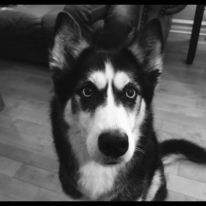 Meet your Posher, Linda